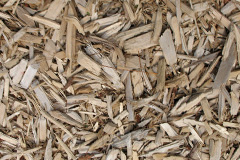 biomass boilers Woodbastwick